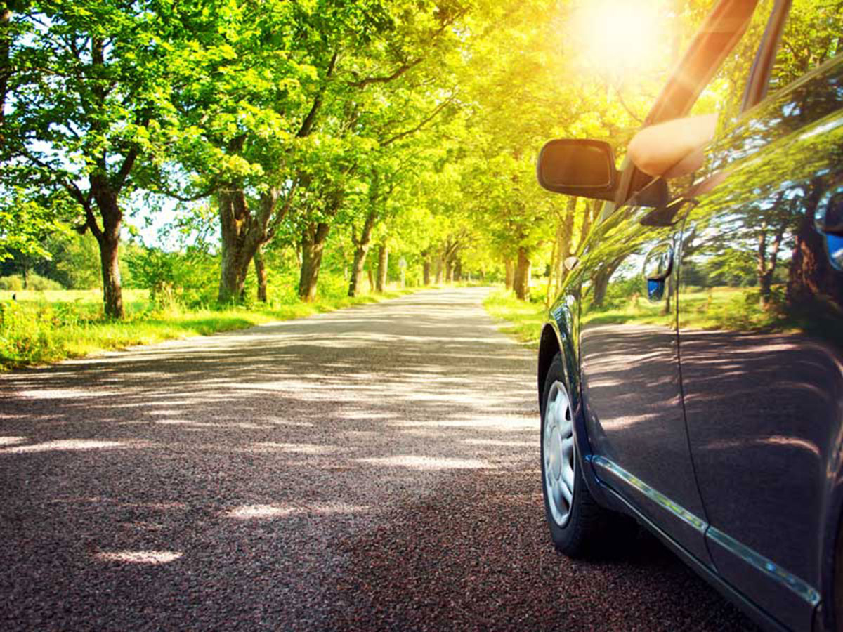 Spring Maintenance Tips